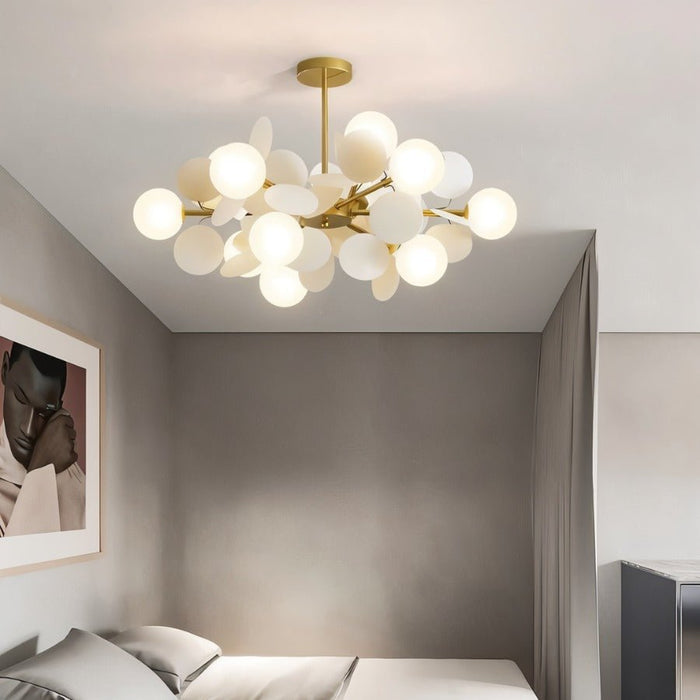 Opal Chandelier - Open Box - Residence Supply