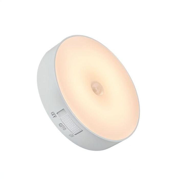 Oralee Motion Sensor Light - Residence Supply