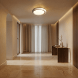 Orben Ceiling Light - Residence Supply