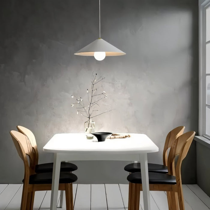 Orvis Pendant Light - Residence Supply