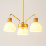 Osian Chandelier - Residence Supply