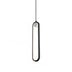 Black metal pendant light with elongated oval frame and warm light source, hanging against white background.