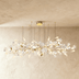 Panra Chandelier - Residence Supply