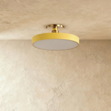 Pentra Ceiling Light