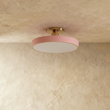Pentra Ceiling Light