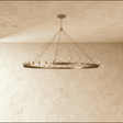 Phlox Chandelier - Residence Supply