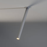 Photine Ceiling Light