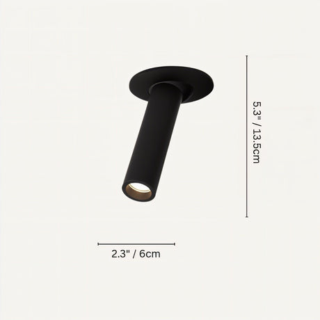 Photine Ceiling Light