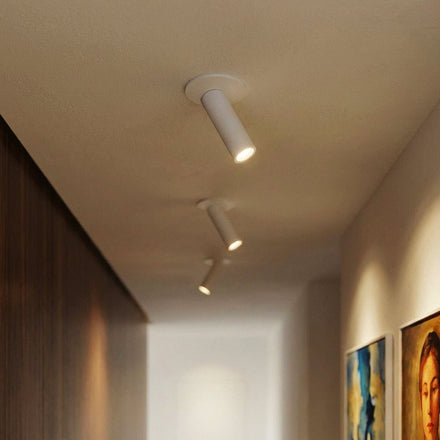 Metal Ceiling Lights