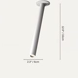 Photine Ceiling Light