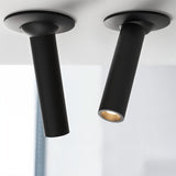 Photine Ceiling Light