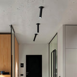 Photine Ceiling Light