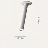 Photine Ceiling Light