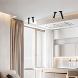 Photine Ceiling Light
