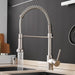 Pravah Kitchen Faucet - Residence Supply