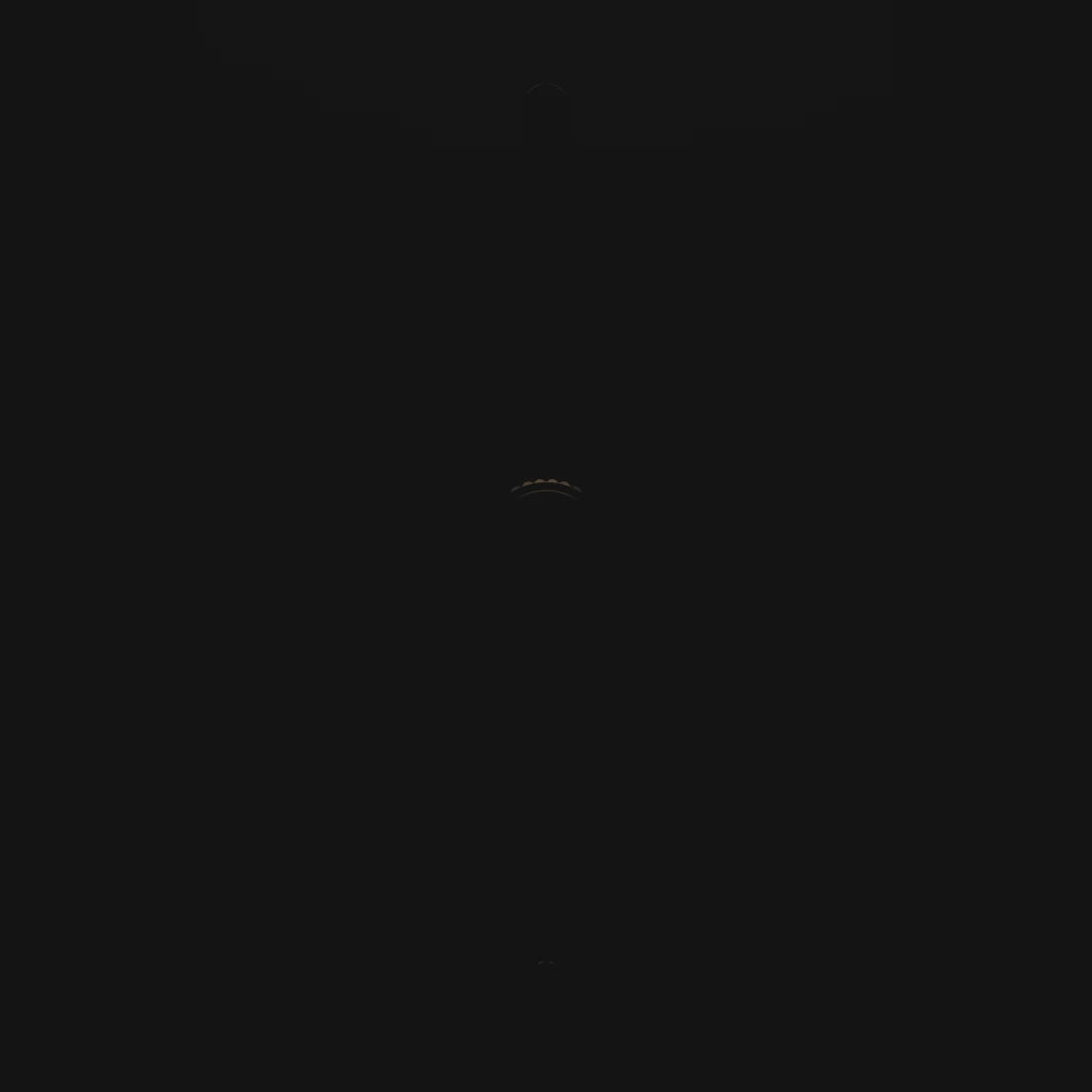 Minimalist blacked-out version of The Brass 3-Way Rotary Dimmer Switch, showcasing a sleek, unlit design for modern interiors.
