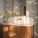 Pyient Knob & Pull Bar - Residence Supply