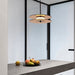 Radivis Pendant Light - Residence Supply