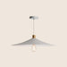 Raida Pendant Light - Residence Supply