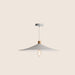 Raida Pendant Light - Residence Supply