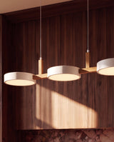 Rangeen Pendant Light - Residence Supply