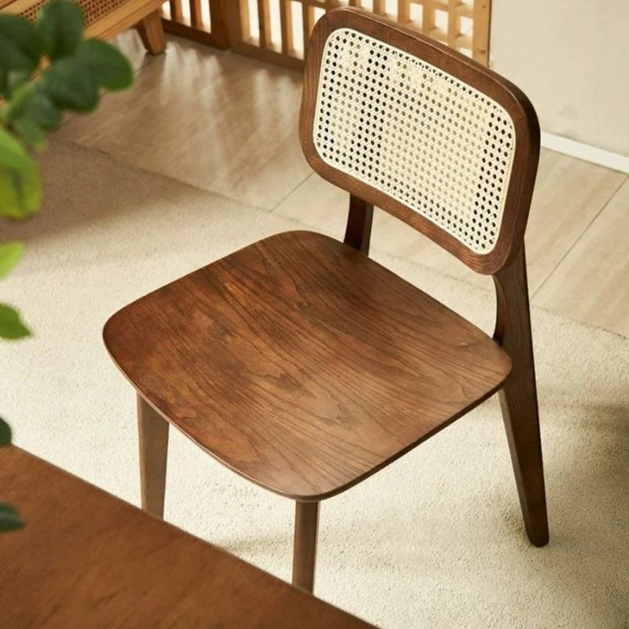Minimalist Rarus Dining Chair 