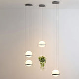 "Modern pendant lights with spherical frosted glass diffusers and iron bands, grouped with hanging planters in a high-ceiling contemporary space."
