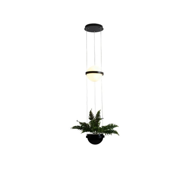 "Modern pendant light with a spherical frosted glass diffuser and an integrated planter, suspended by cables in a minimalist design."