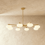 Raylo Chandelier - Residence Supply