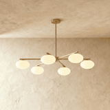Raylo Chandelier - Residence Supply