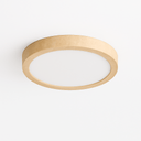 Richna Ceiling Light