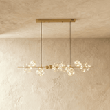 Robina Chandelier - Residence Supply