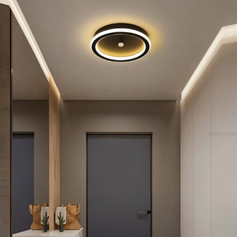 Rohesia Ceiling Light - Living Room Lights