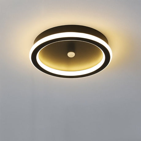 Rohesia Ceiling Light