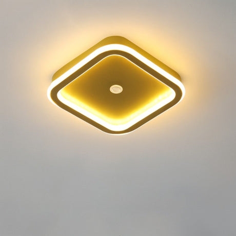 Rohesia Ceiling Light
