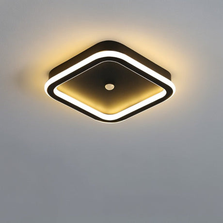 Rohesia Ceiling Light
