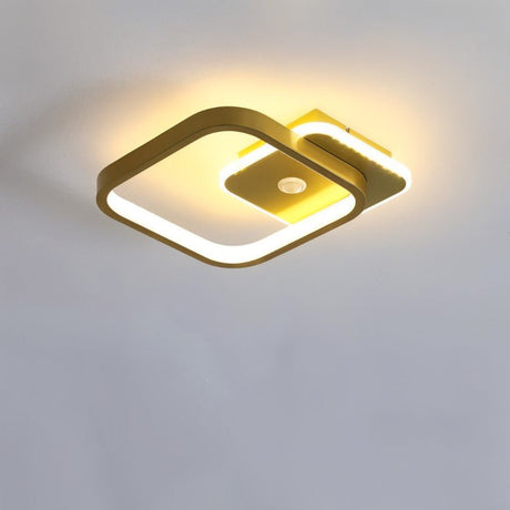 Rohesia Ceiling Light