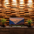 Ronus Decorative Panel - Modern, Acoustic-Enhancing Design installed behind a TV with ambient lighting and indoor plants, enhancing room aesthetics.