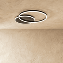 Roshan Ceiling Light