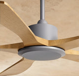 Ruha Ceiling Fan - Residence Supply