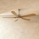 Ruha Ceiling Fan
