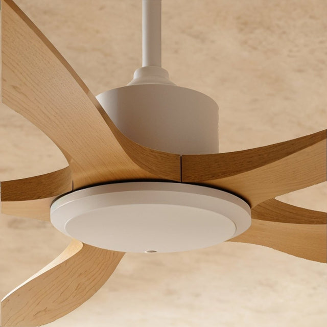 Ruha Ceiling Fan - Residence Supply