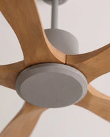 Ruha Ceiling Fan - Residence Supply