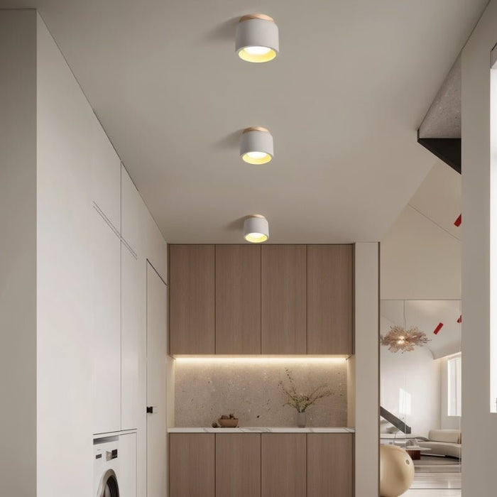 Sasil Downlight - Modern Lighting for Hallway