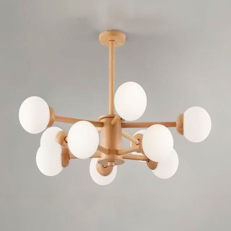 Scild Chandelier - Residence Supply