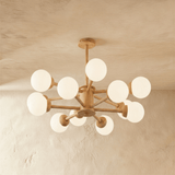 Scild Chandelier - Residence Supply