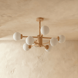 Scild Chandelier - Residence Supply
