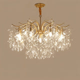 Shama Crystal Chandelier