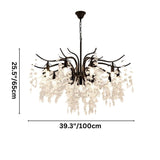 Shama Crystal Chandelier