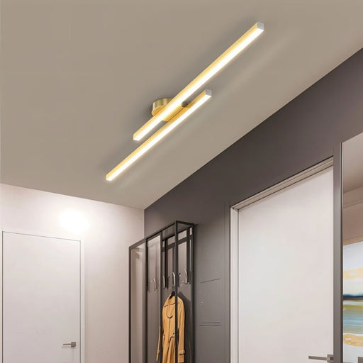 Sharan Ceiling Light - Contemporary Lighting